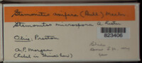 Image Associated With the Occurence